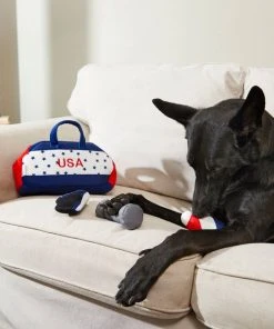 Frisco Hide-and-Seek USA Gym Bag Dog Toy -Frisco Sales 2024 214078 PT6. SY630 V1597596406