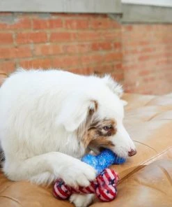 Frisco Americana TPR Bone Squeaky Dog Toy, 2 count -Frisco Sales 2024 214651 PT6. SY630 V1597596450