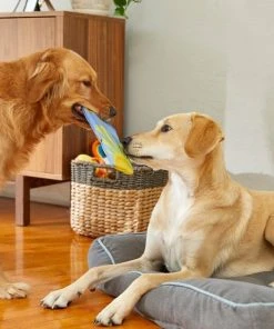 Frisco Summer Fun Ballistic Nylon Plush Surfboard Dog Toy -Frisco Sales 2024 214665 PT6. SY630 V1597596443