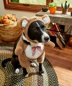 Frisco Front Walking Teddy Bear Dog & Cat Costume -Frisco Sales 2024 215500 PT8. SY630 V1599140159