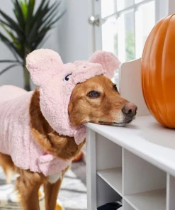 Frisco Pig Dog & Cat Costume -Frisco Sales 2024 215548 PT8. SY630 V1624341805