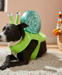 Frisco Snail Dog & Cat Costume -Frisco Sales 2024 215562 PT8. SY630 V1599141059