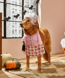 Frisco Front Walking Granny Dog & Cat Costume -Frisco Sales 2024 215576 PT8. SY630 V1599140781