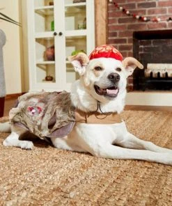 Frisco Zombie Dog & Cat Costume -Frisco Sales 2024 215621 PT8. SY630 V1599226676