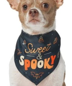 Frisco Sweet & Spooky Dog & Cat Bandana