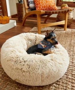 Frisco Sweet & Spooky Dog & Cat Bandana 10 Frisco Sweet & Spooky Dog & Cat Bandana -Frisco Sales 2024 215671 PT3. SY630 V1632420698