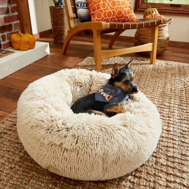 Frisco Sweet & Spooky Dog & Cat Bandana 6 Frisco Sweet & Spooky Dog & Cat Bandana - Image 4