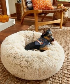 Frisco Sweet & Spooky Dog & Cat Bandana 11 Frisco Sweet & Spooky Dog & Cat Bandana -Frisco Sales 2024 215671 PT8. SY630 V1599016893