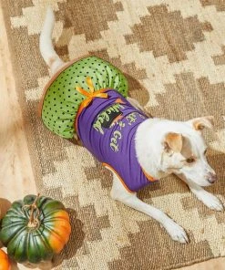 Frisco Let's Get Wicked Dog & Cat Dress -Frisco Sales 2024 215769 PT5. SY630 V1633068120