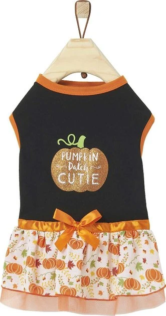 Frisco Pumpkin Patch Cutie Dog & Cat Dress 3 Frisco Pumpkin Patch Cutie Dog & Cat Dress