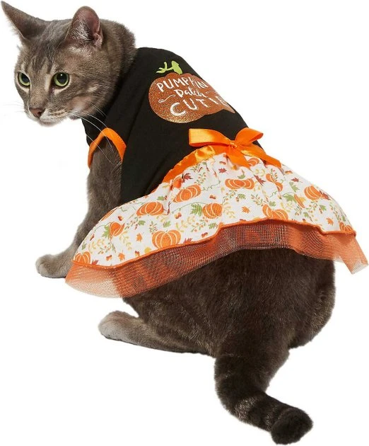 Frisco Pumpkin Patch Cutie Dog & Cat Dress 5 Frisco Pumpkin Patch Cutie Dog & Cat Dress - Image 3