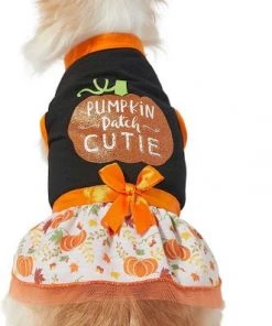 Frisco Pumpkin Patch Cutie Dog & Cat Dress 11 Frisco Pumpkin Patch Cutie Dog & Cat Dress -Frisco Sales 2024 215783 PT3. SY630 V1632428193