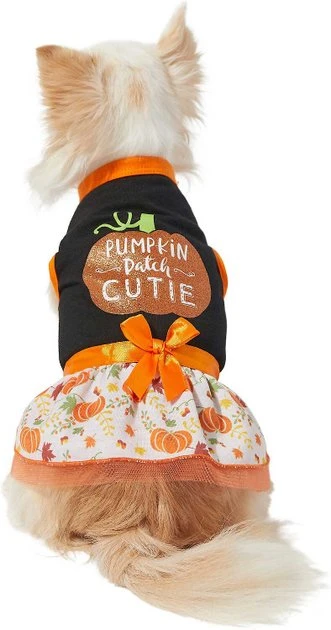 Frisco Pumpkin Patch Cutie Dog & Cat Dress 6 Frisco Pumpkin Patch Cutie Dog & Cat Dress - Image 4
