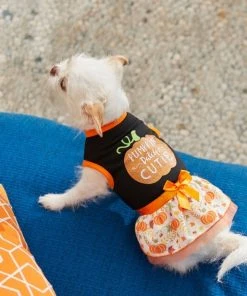 Frisco Pumpkin Patch Cutie Dog & Cat Dress 13 Frisco Pumpkin Patch Cutie Dog & Cat Dress -Frisco Sales 2024 215783 PT8. SY630 V1599001006