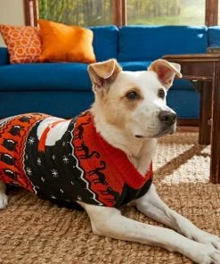 Frisco Feeling Witchy Dog & Cat Sweater -Frisco Sales 2024 215813 PT8. SY630 V1599225467