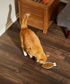 Frisco Fish Shaped Cat Dish -Frisco Sales 2024 216010 PT7. SY630 V1605667102