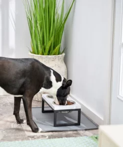 Frisco Marble Print Stainless Steel Double Elevated Dog Bowl 13 Frisco Marble Print Stainless Steel Double Elevated Dog Bowl -Frisco Sales 2024 216017 PT7. SY630 V1605658336