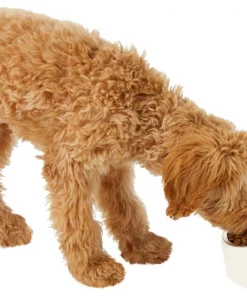 Frisco Slanted Stainless Steel Bowl 14 Frisco Slanted Stainless Steel Bowl -Frisco Sales 2024 216028 PT6. SY630 V1605666119