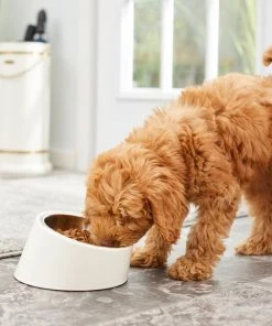 Frisco Slanted Stainless Steel Bowl 15 Frisco Slanted Stainless Steel Bowl -Frisco Sales 2024 216028 PT7. SY630 V1605653233