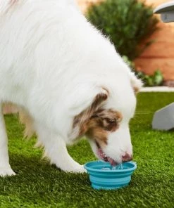 Frisco Silicone Collapsible Travel Bowl Set, 3 count, 1.5 Cups 11 Frisco Silicone Collapsible Travel Bowl Set, 3 count, 1.5 Cups -Frisco Sales 2024 216033 PT7. SY630 V1605661035