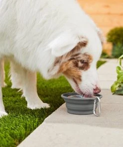 Frisco Silicone Collapsible Travel Bowl with Carabiner, 1.5 Cups -Frisco Sales 2024 216036 PT7. SY630 V1605656224