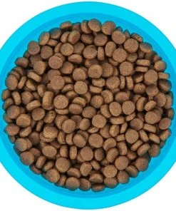 Frisco Plastic Suction Bowl, Blue, 3 Cups -Frisco Sales 2024 216037 PT4. SY630 V1591020655