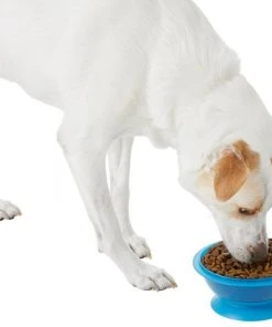 Frisco Plastic Suction Bowl, Blue, 3 Cups -Frisco Sales 2024 216037 PT6. SY630 V1605662823