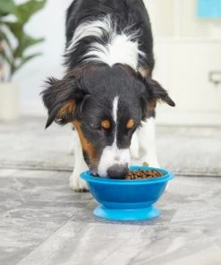 Frisco Plastic Suction Bowl, Blue, 3 Cups -Frisco Sales 2024 216037 PT7. SY630 V1605666113