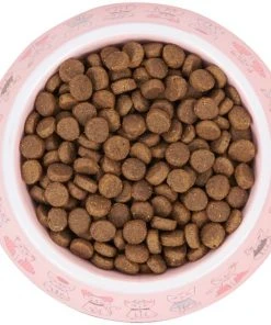 Frisco Pink Cute Cats Melamine Cat Bowl, 1.5 Cup 12 Frisco Pink Cute Cats Melamine Cat Bowl, 1.5 Cup -Frisco Sales 2024 216043 PT4. SY630 V1591020694
