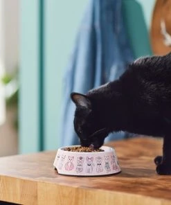 Frisco Pink Cute Cats Melamine Cat Bowl, 1.5 Cup 13 Frisco Pink Cute Cats Melamine Cat Bowl, 1.5 Cup -Frisco Sales 2024 216043 PT7. SY630 V1633025211