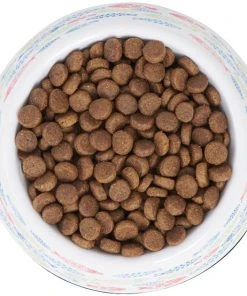 Frisco Colorful Fish Melamine Cat Bowl, 1.5 Cups -Frisco Sales 2024 216047 PT4. SY630 V1591020721