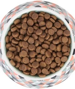 Frisco Colorful Geometric Melamine Bowl -Frisco Sales 2024 216052 PT4. SY630 V1591020745