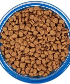 Frisco Cat Design Glass Bowl with Silicone Sleeve, 1.5 Cups -Frisco Sales 2024 216057 PT4. SY630 V1591020958