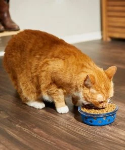 Frisco Cat Design Glass Bowl with Silicone Sleeve, 1.5 Cups -Frisco Sales 2024 216057 PT7. SY630 V1605655021