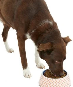 Frisco Southwest Melamine Bowl, 3 Cup -Frisco Sales 2024 216064 PT6. SY630 V1605652321