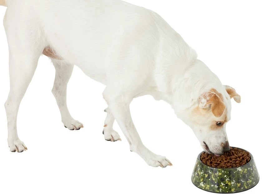 Frisco Camo Paint Splashed Melamine Bowl, 3 Cup 8 Frisco Camo Paint Splashed Melamine Bowl, 3 Cup - Image 6