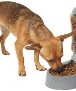 Frisco Circular Gravity Refill Dog & Cat Feeder -Frisco Sales 2024 216701 PT3. SY630 V1603926791