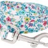 Frisco Spring Floral Polyester Dog Leash