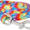 Frisco Tie Dye Swirl Polyester Dog Leash