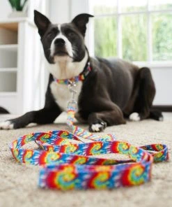 Frisco Tie Dye Swirl Polyester Dog Leash -Frisco Sales 2024 218246 PT4. SY630 V1597599972