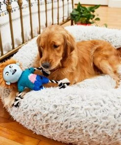 Frisco Zombie Boy Plush with Rope Squeaky Dog Toy -Frisco Sales 2024 218569 PT6. SY630 V1597599376