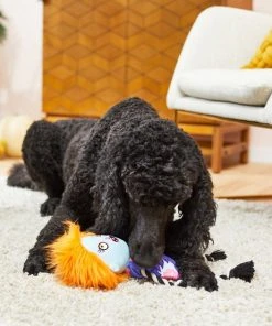 Frisco Zombie Girl Plush with Rope Squeaky Dog Toy -Frisco Sales 2024 218571 PT6. SY630 V1597599373