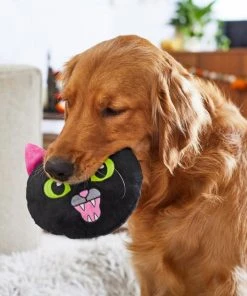 Frisco Black Cat Round Plush Squeaky Dog Toy -Frisco Sales 2024 218587 PT6. SY630 V1597599384
