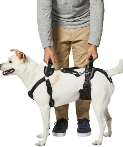 Frisco Front & Rear Lift Handicapped Support Dog Harness -Frisco Sales 2024 220369 PT5. SY630 V1605751028