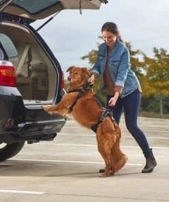 Frisco Front & Rear Lift Handicapped Support Dog Harness -Frisco Sales 2024 220369 PT7. SY630 V1605754629