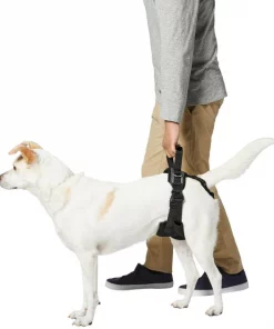Frisco Rear Lift Handicapped Support Dog Harness 11 Frisco Rear Lift Handicapped Support Dog Harness -Frisco Sales 2024 220374 PT5. SY630 V1605743213