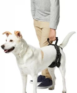 Frisco Rear Lift Handicapped Support Dog Harness 12 Frisco Rear Lift Handicapped Support Dog Harness -Frisco Sales 2024 220374 PT6. SY630 V1605755228