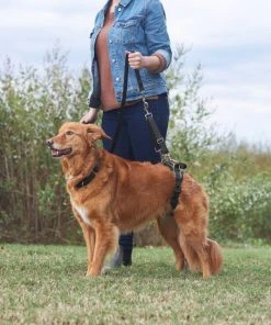 Frisco Rear Lift Handicapped Support Dog Harness 13 Frisco Rear Lift Handicapped Support Dog Harness -Frisco Sales 2024 220374 PT7. SY630 V1605754619