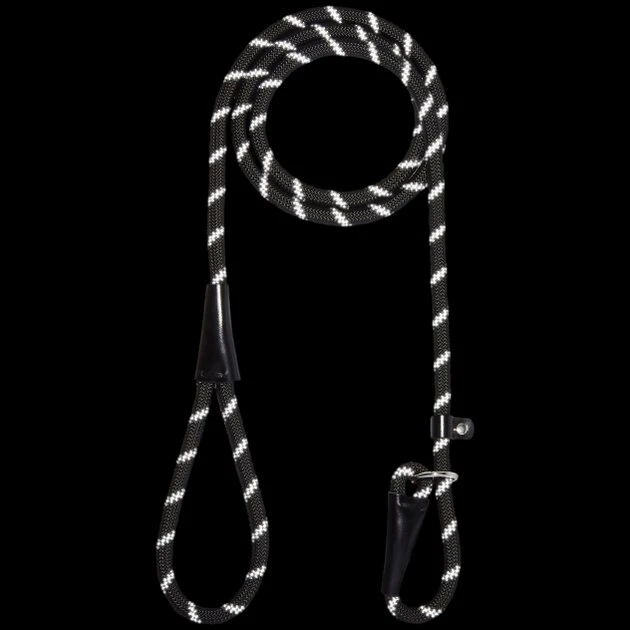 Frisco Reflective Rope Slip Lead Dog Leash 6 Frisco Reflective Rope Slip Lead Dog Leash - Image 4