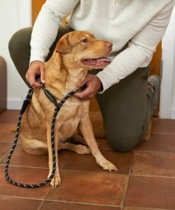 Frisco Reflective Rope Slip Lead Dog Leash 11 Frisco Reflective Rope Slip Lead Dog Leash -Frisco Sales 2024 221212 PT4. SY630 V1602862584